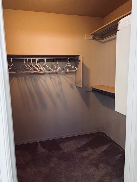 Master closet