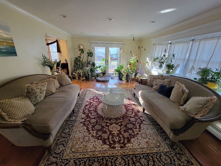 Furnished Finder property 955619_1 photo 3