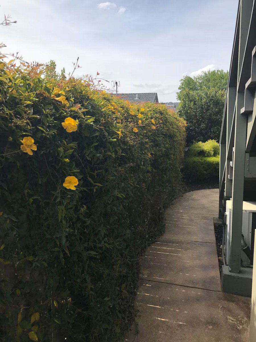 Walkway to Apartment