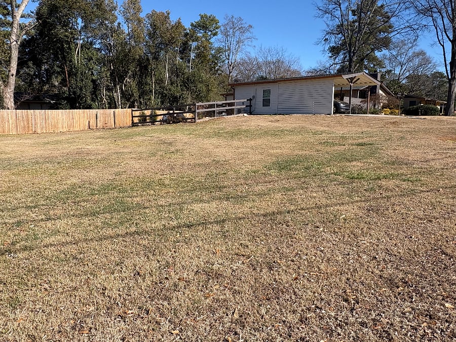 Extra large yard