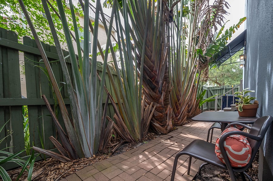 Patio is a shared space with the Main house