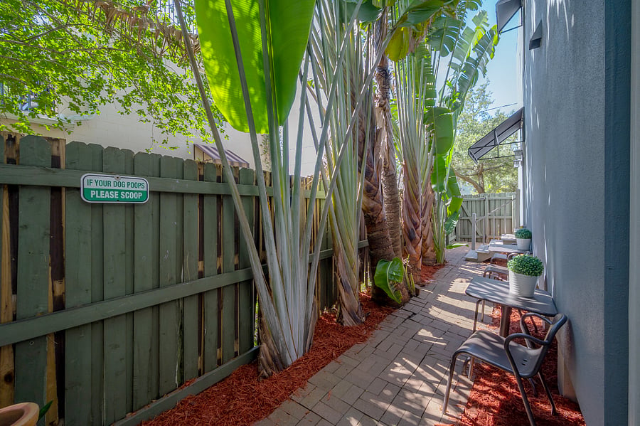 Walk way to the garage studio apartment along the east side of the main house .