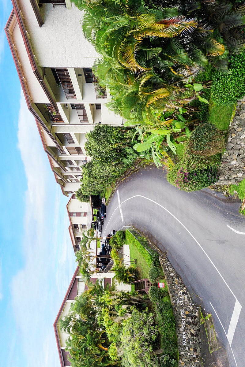 Furnished Finder property 955865_1 photo 8