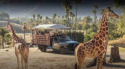 Safari Park or the San Diego Zoo!