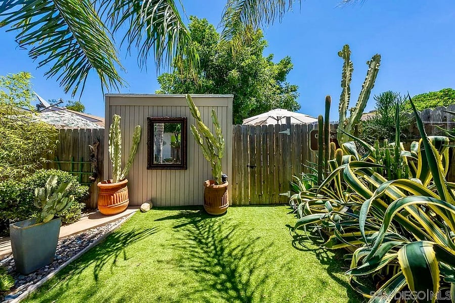 Sculptural cacti add texture and character to the garden.