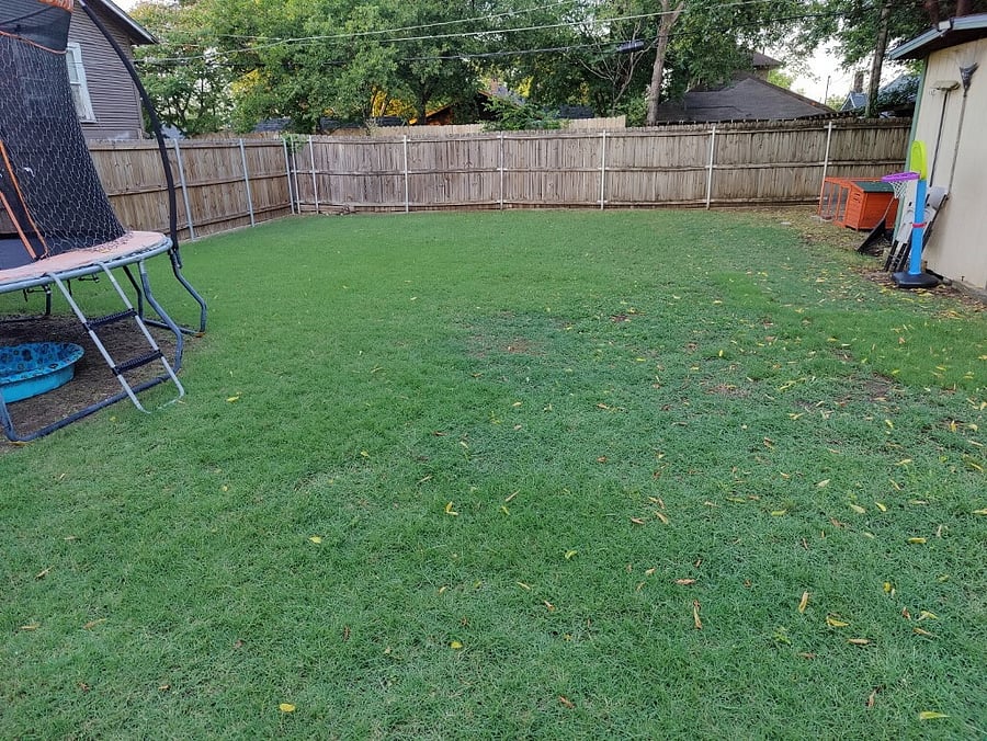 Fully fenced-in back yard