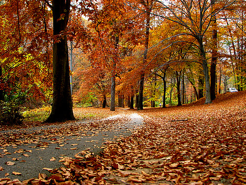 Beautiful nearby park