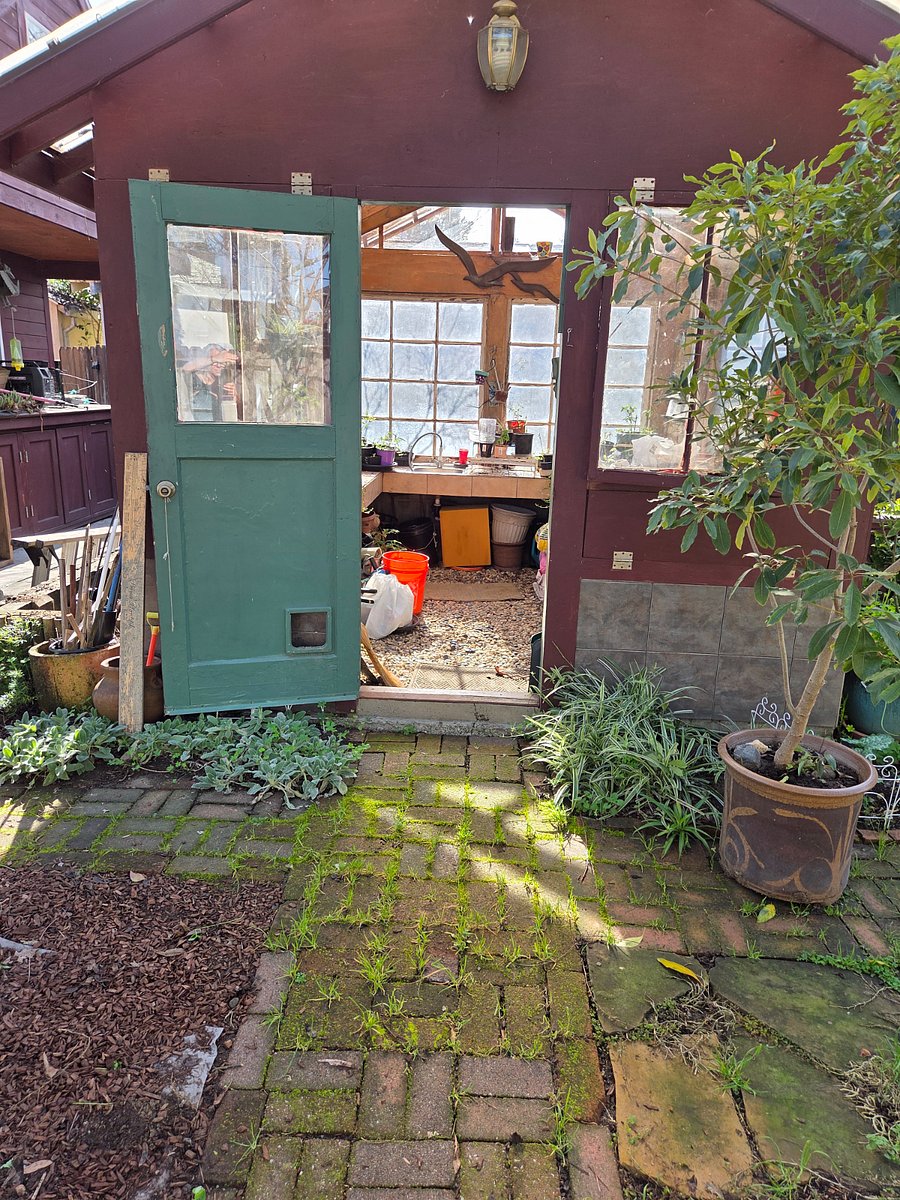 Greenhouse in backyard 