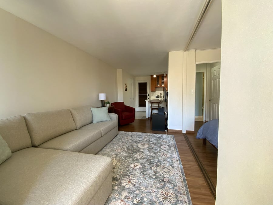 LIVING ROOM WITH PULL OUT SOFA BED