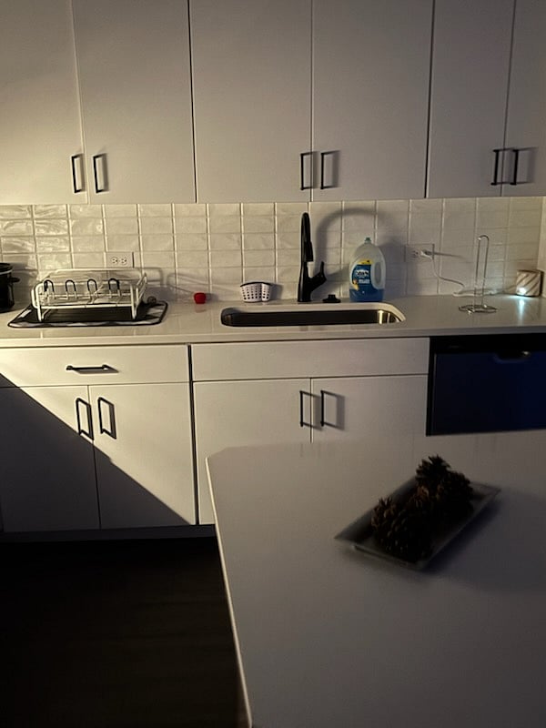 Kitchen Sink & Dishwasher