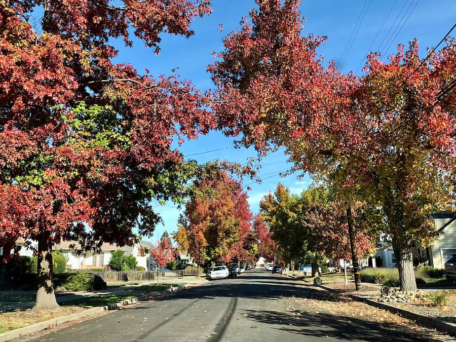 Peaceful, walkable neighborhood