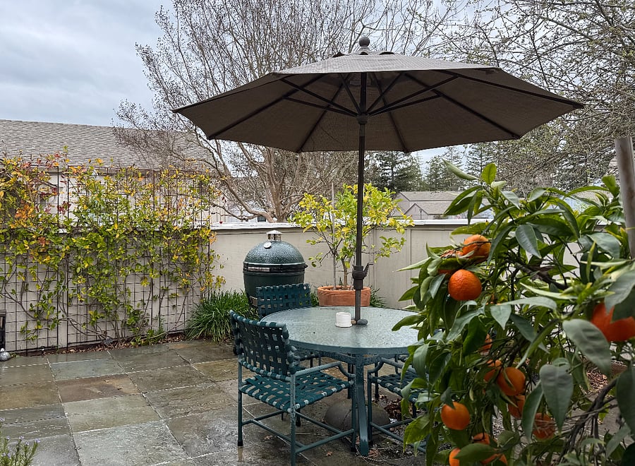 the front courtyard with seating for 4 under the shade of the umbrella