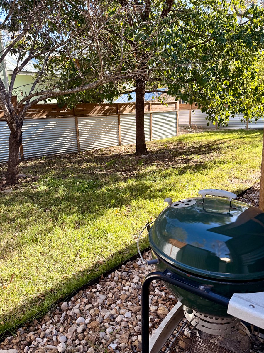 view of backyard
