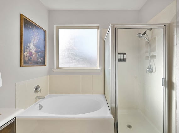 Master Bathroom tub and walk in shower