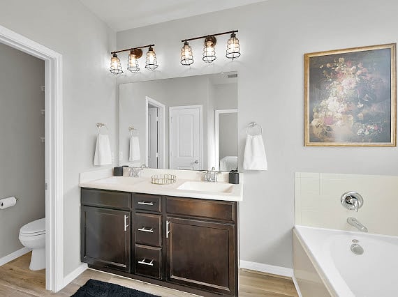 Double vanities, blow dryer included