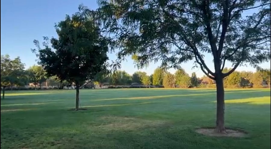Nearby Renaissance Park located in the neighborhood approx. 1/4 mile away 