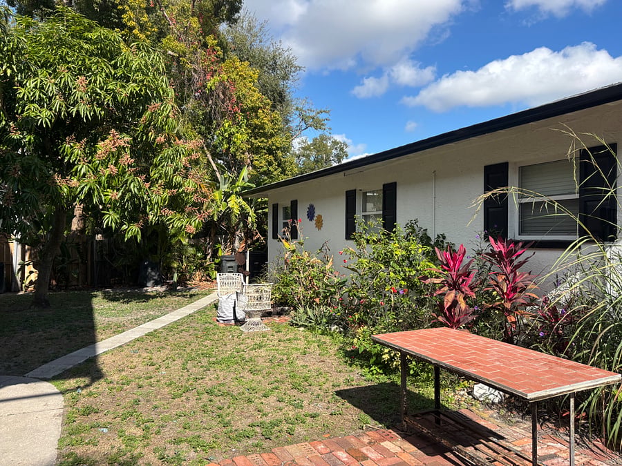 Yard area directly out the back door with a Mango tree and Grapefruit trees