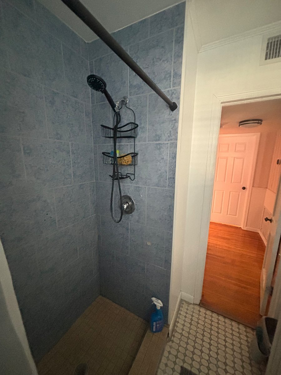 Step in bathroom shower
