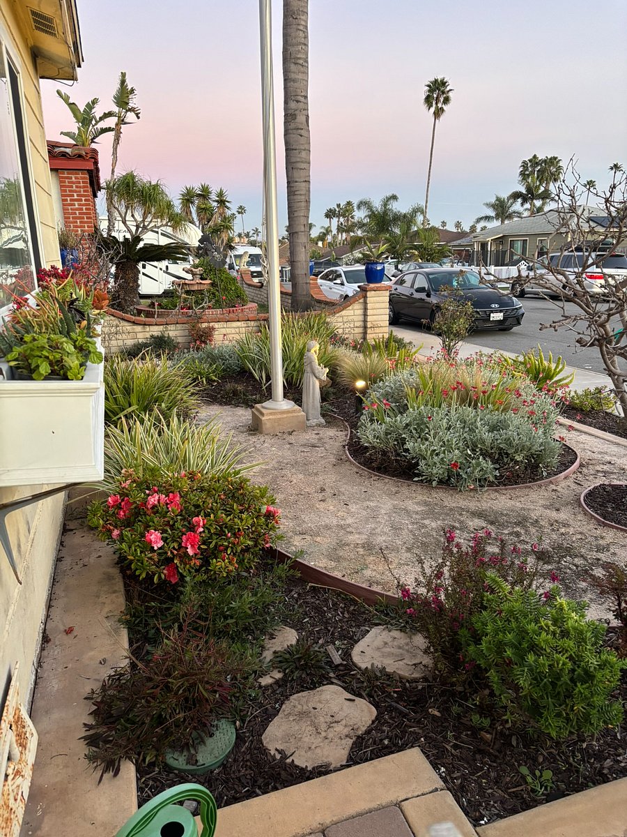 Landscaped front yard