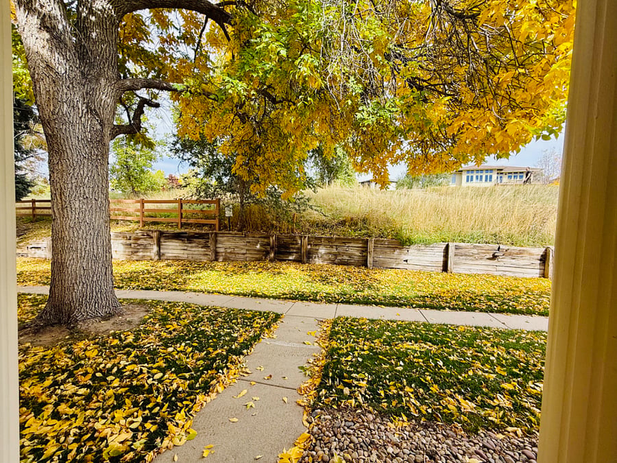 Front yard and highline canal trail