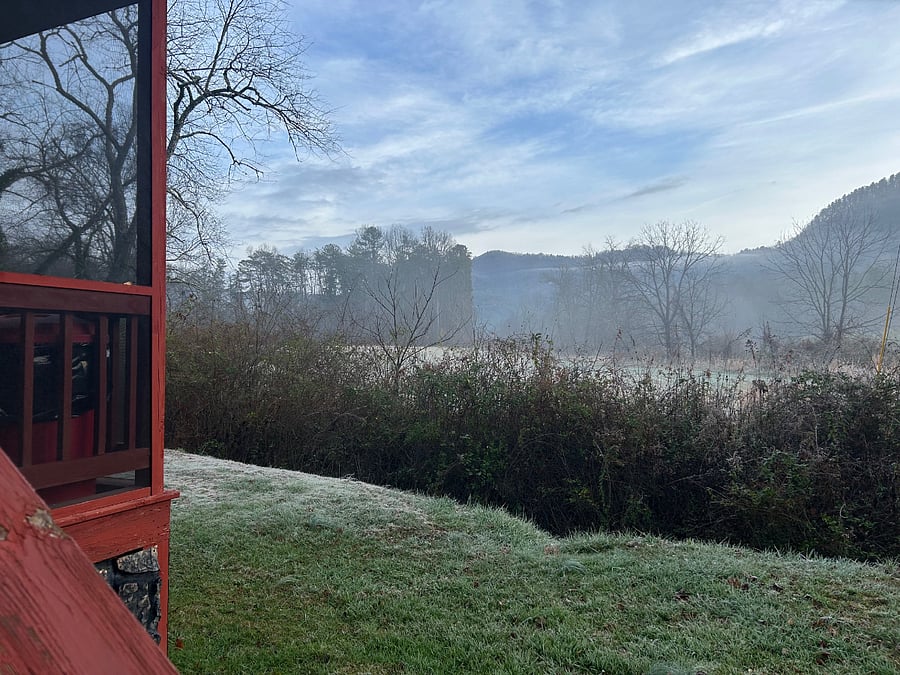 View from the porch on the back of the property
