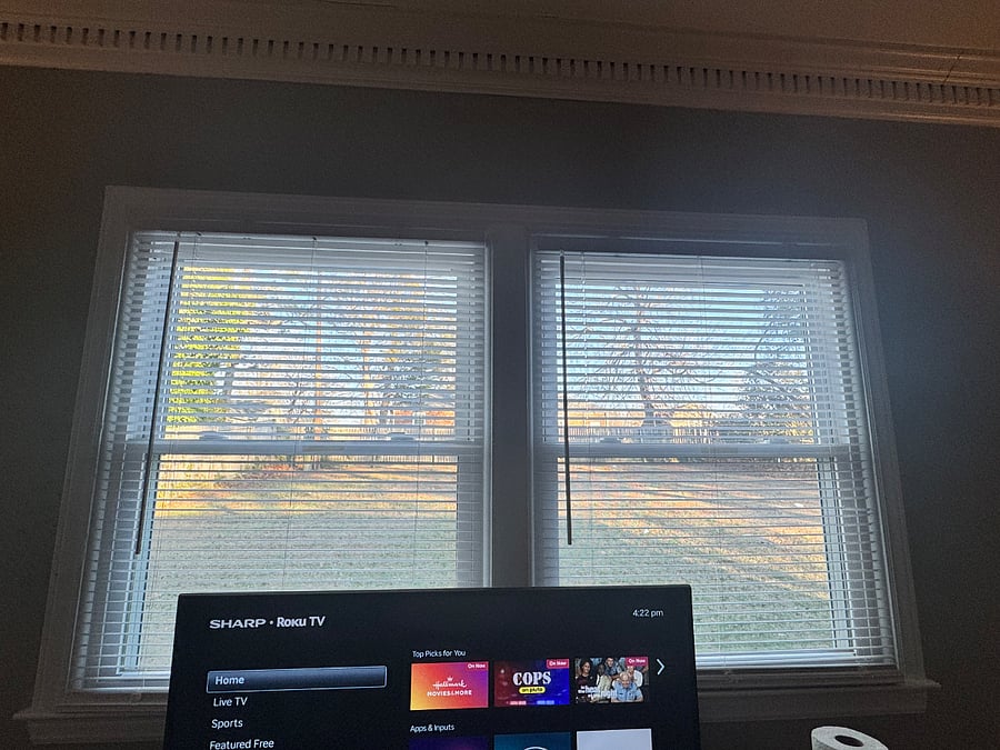 Living room window view to backyard