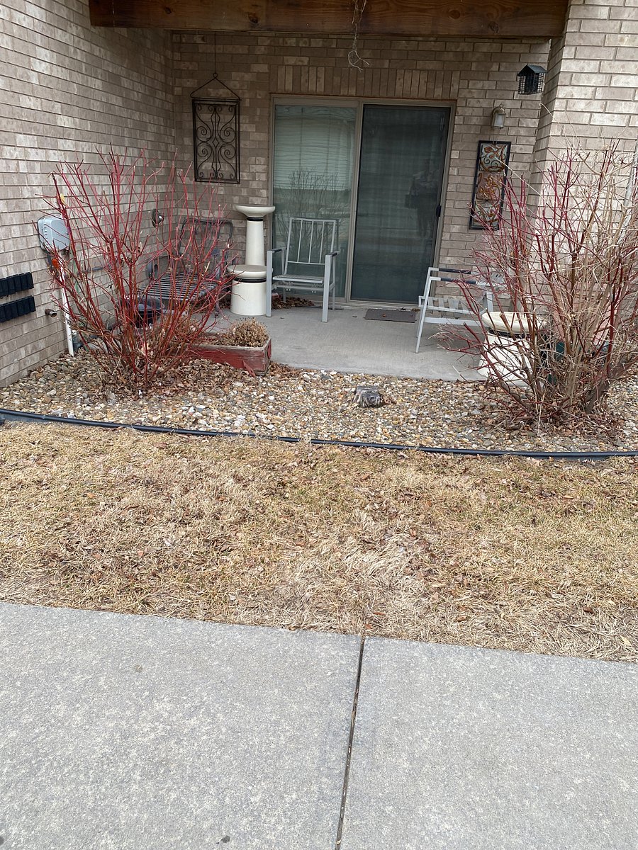 Walk out patio
Will have cousins and plants when weather is better