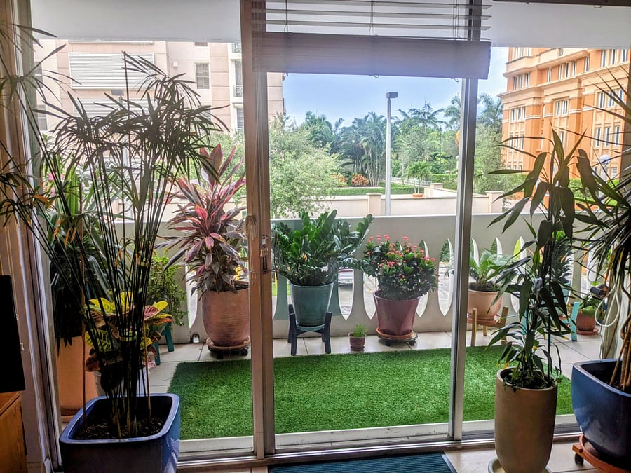 Partial view of balcony