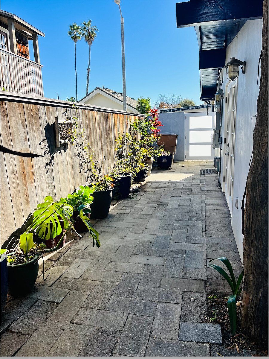 The side yard.