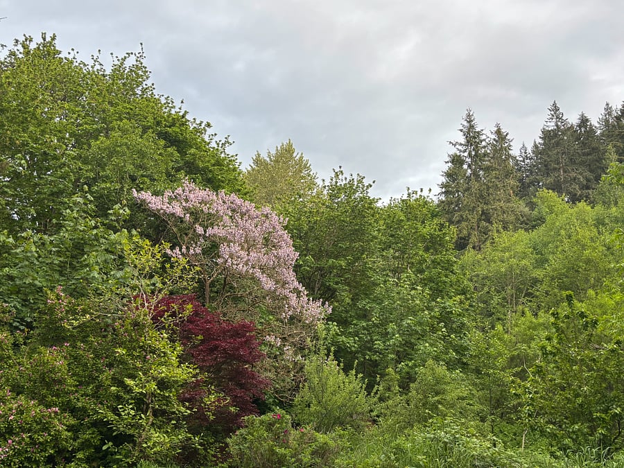 the "Front acre," house overlooks this area.