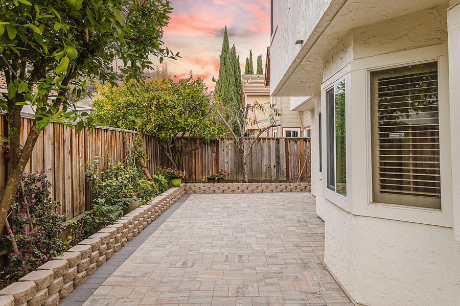 Backyard with fruit trees