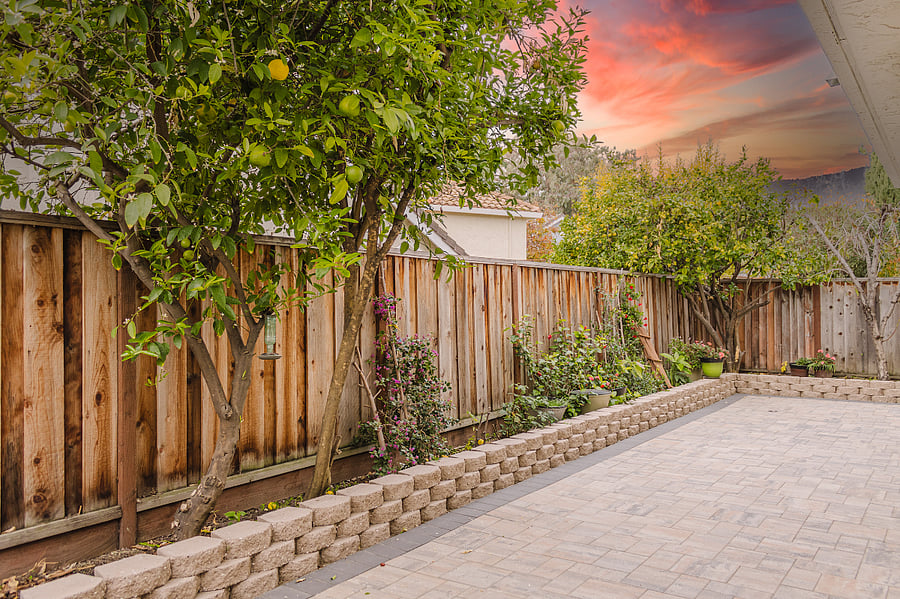 Backyard with fruit trees