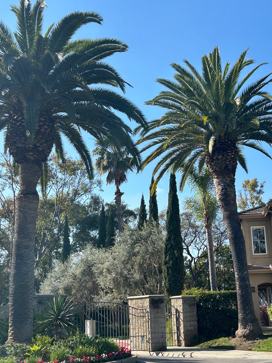 Entrance to my housing development
