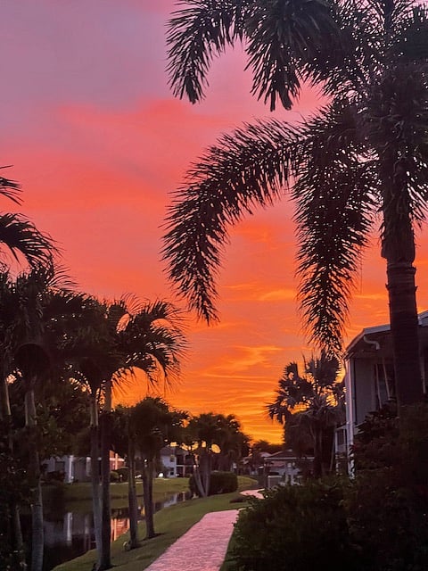 view from walking path during sunset