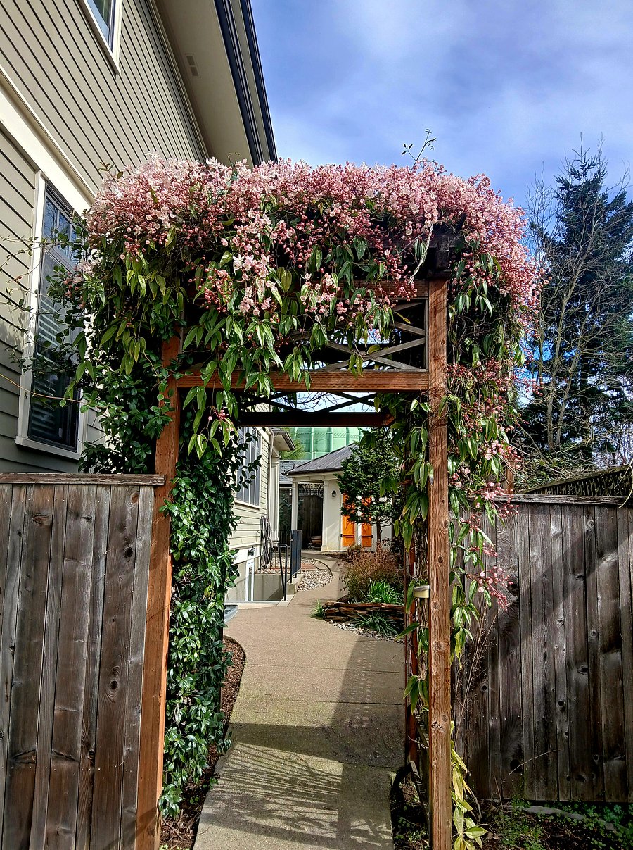 Peaceful, well-maintained yard and landscaping