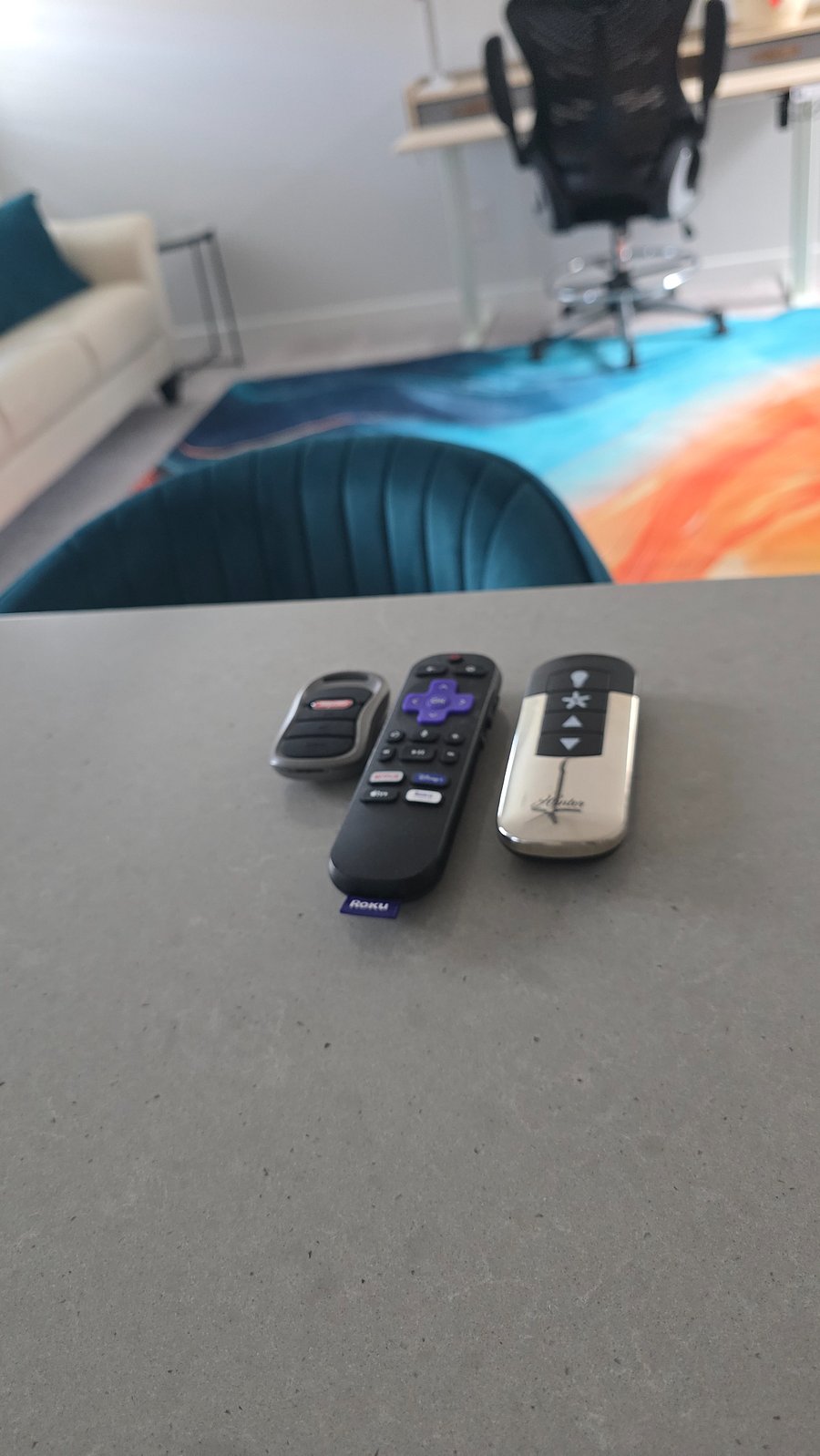 Remote for the 
Roku Smart TV, 
Fan 
Garage door opener 