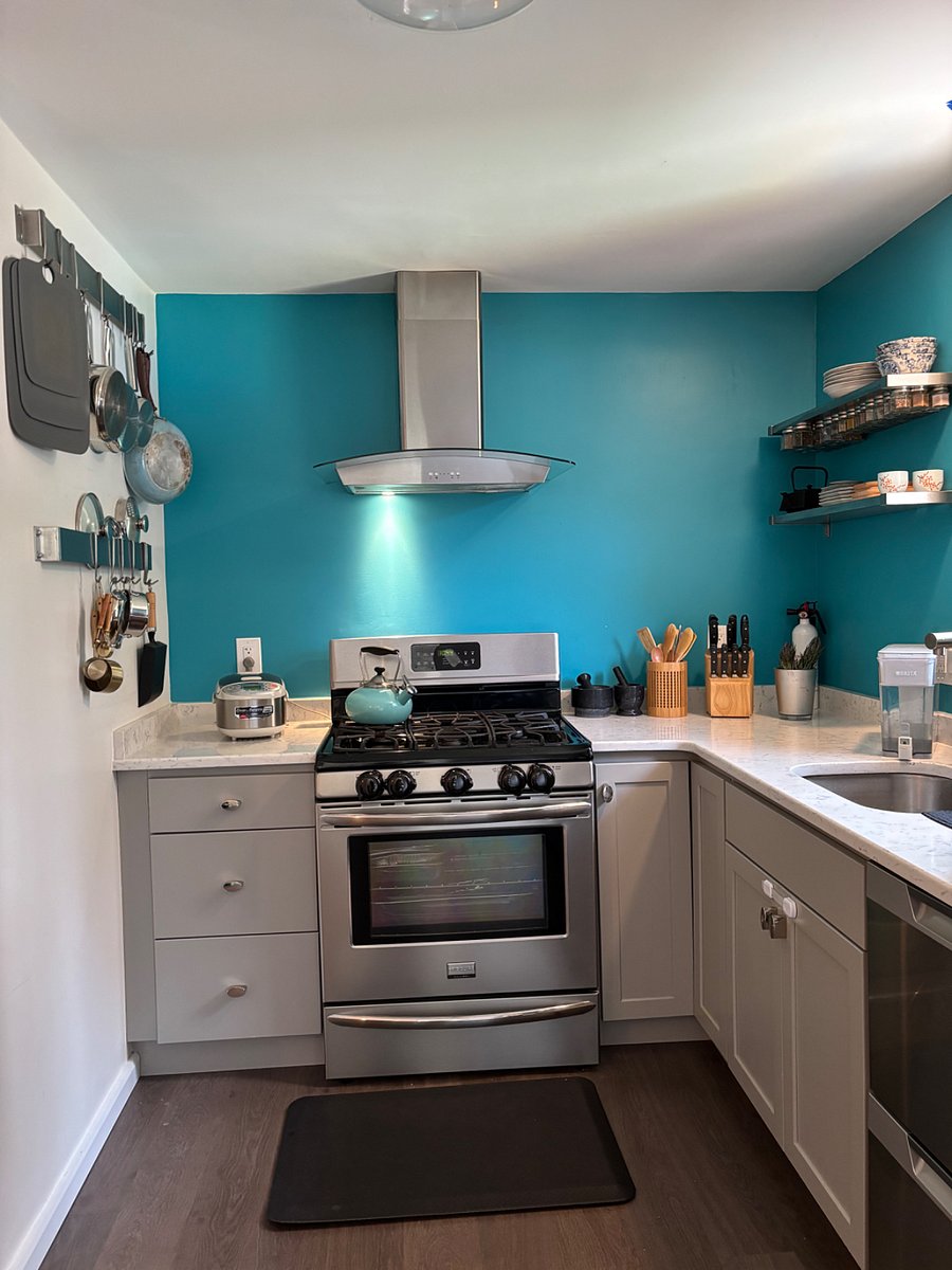 Full kitchen, dishwasher and full size fridge 
