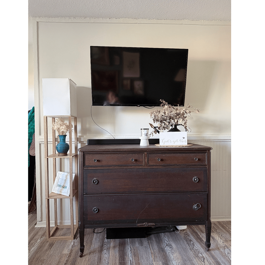 TV with Roku.