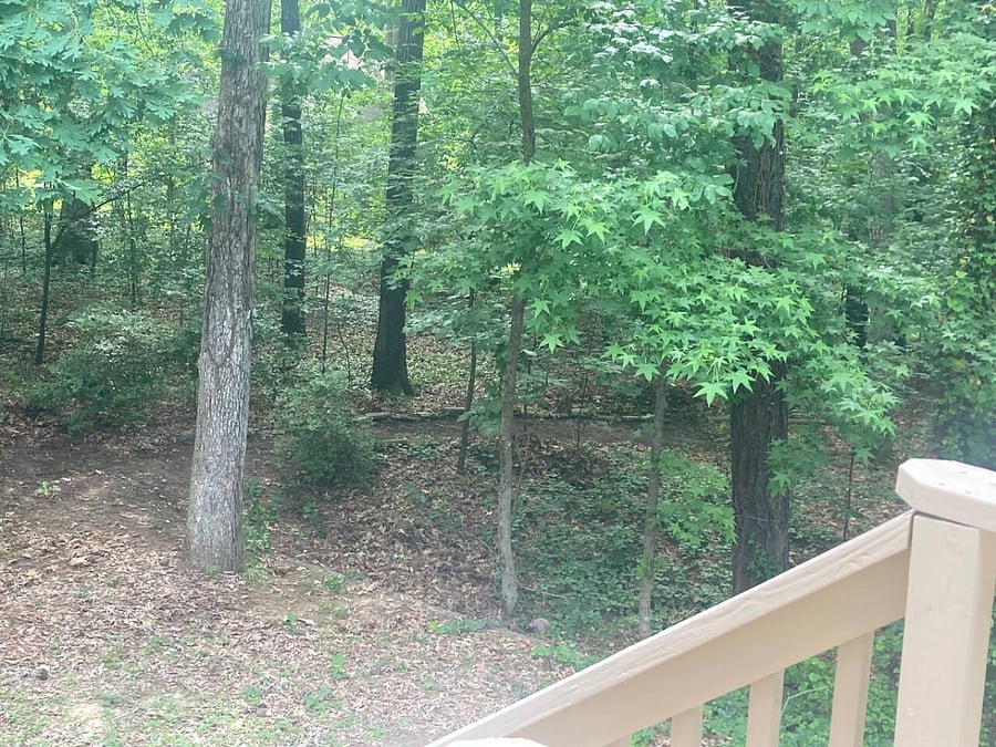 Furnished Finder property 958169_1 photo 20