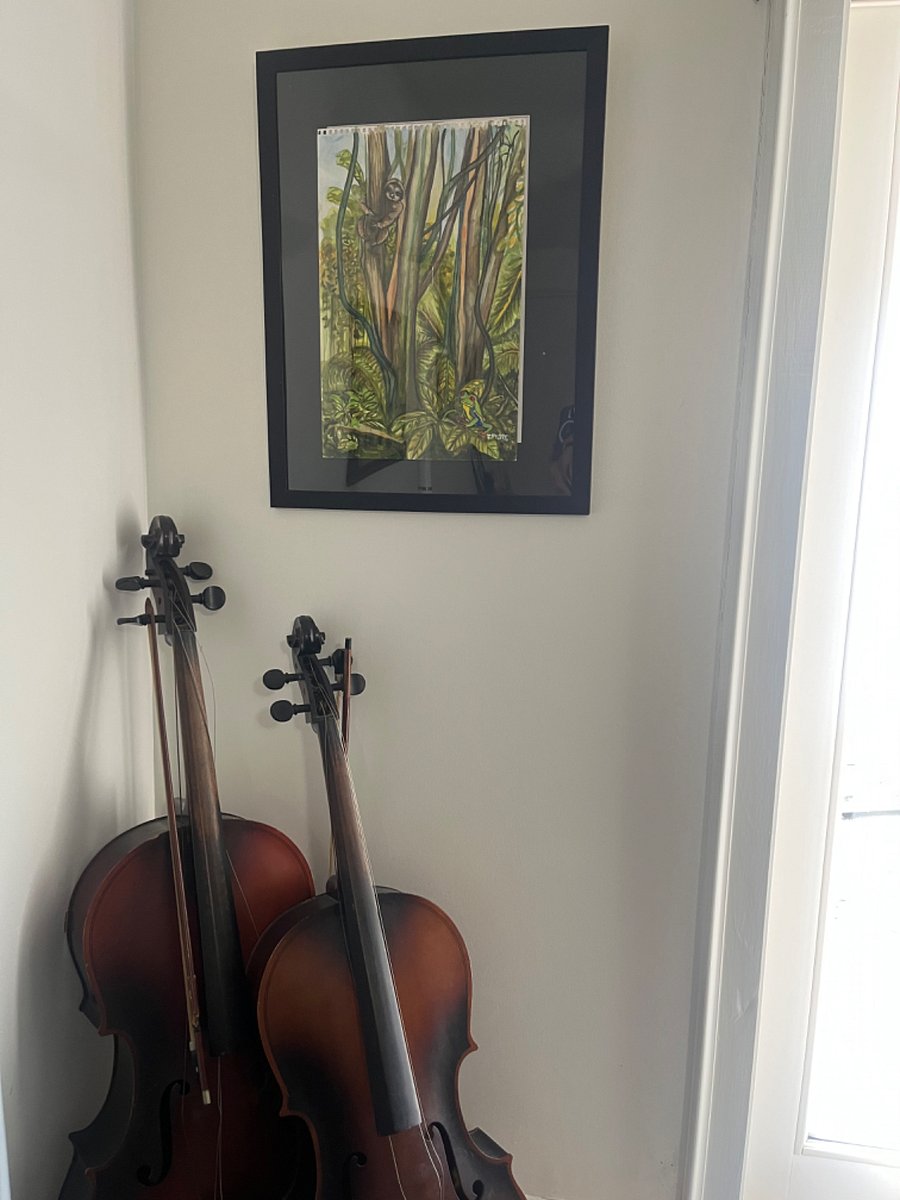 Broken cellos make beautiful sculptures 
