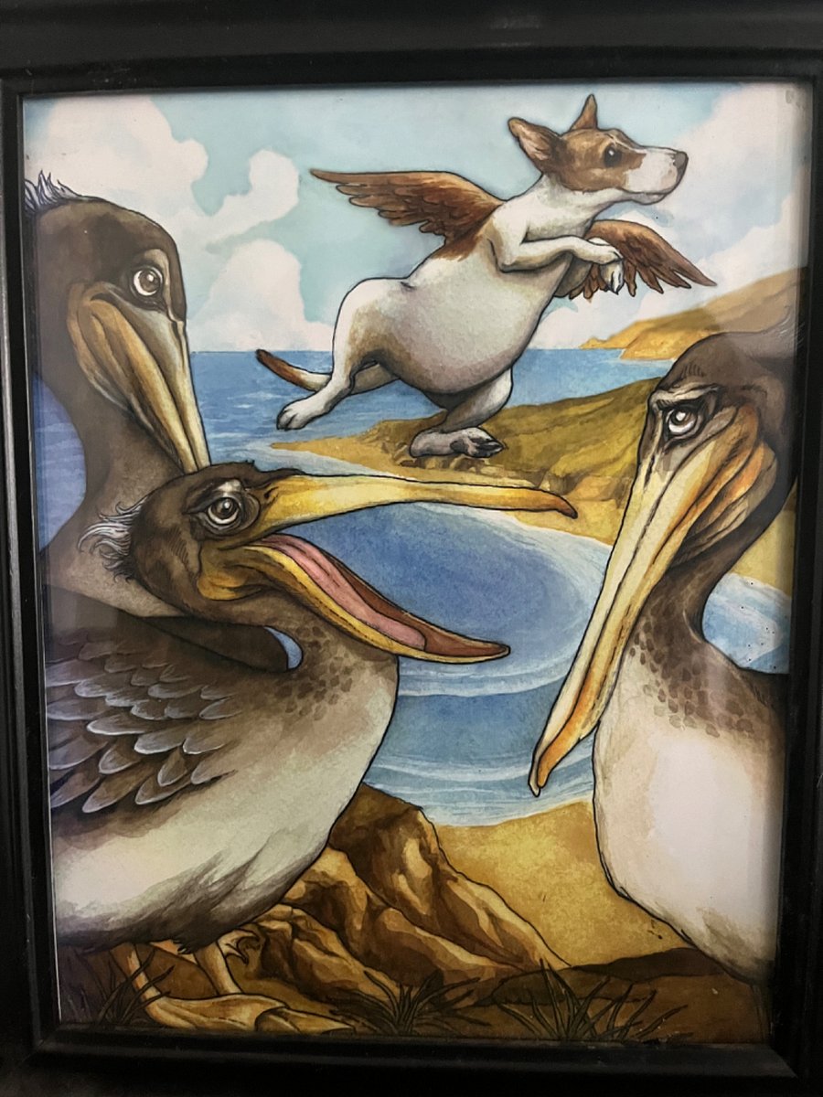 Pelican Dog