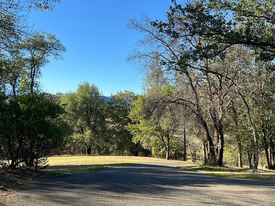 View toward road from top of driveway
