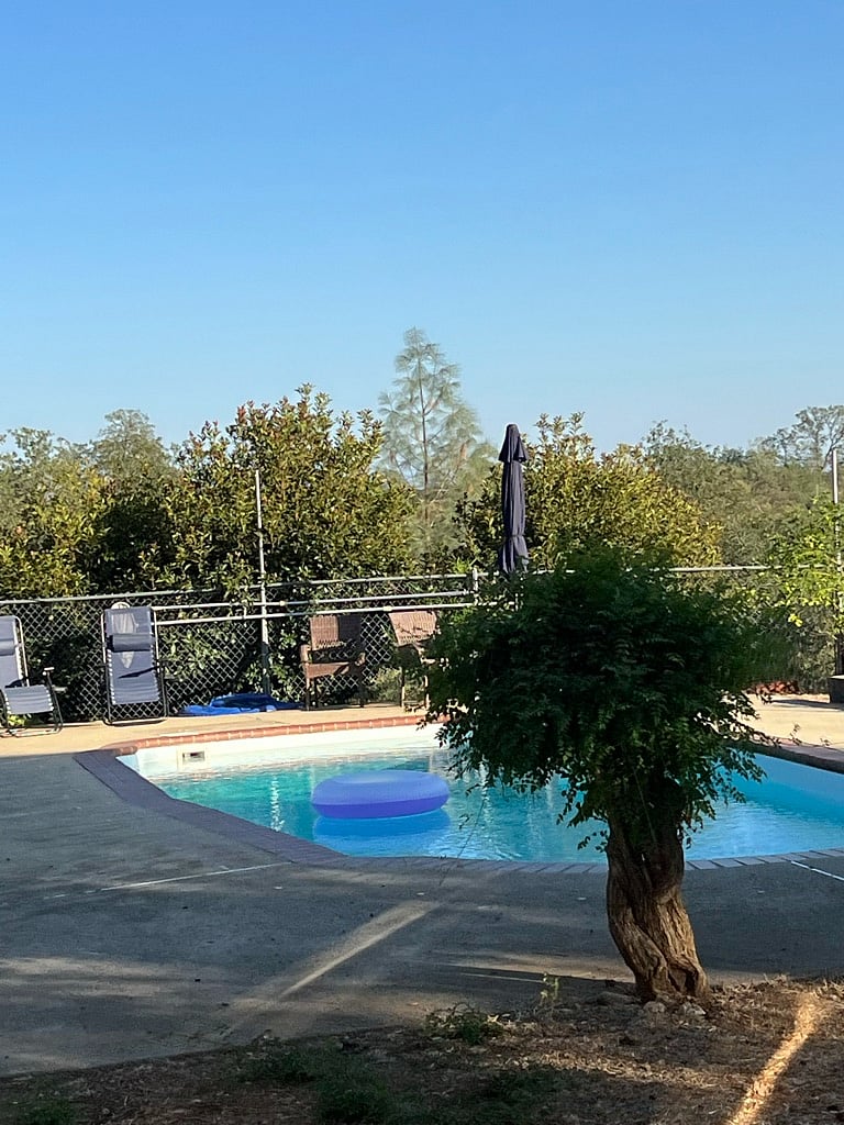 Pool in spring