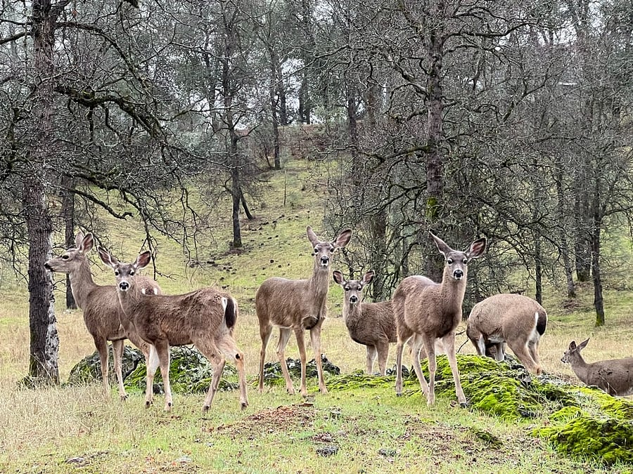 Visitors at bottom of driveway