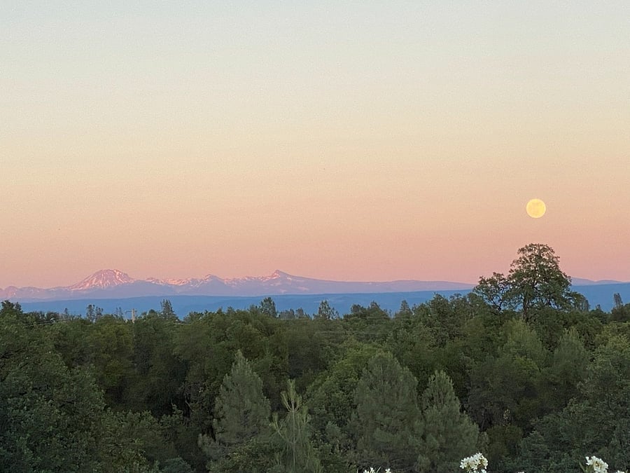 View of Mt. Lassen from back yard