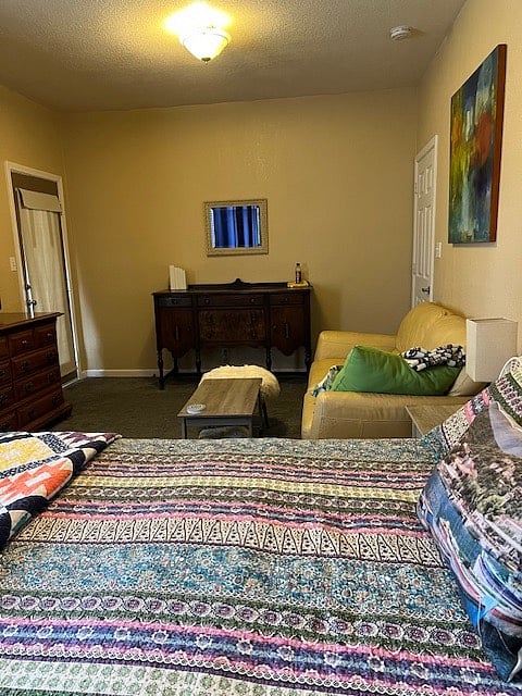 Patio Room (primary bedroom)