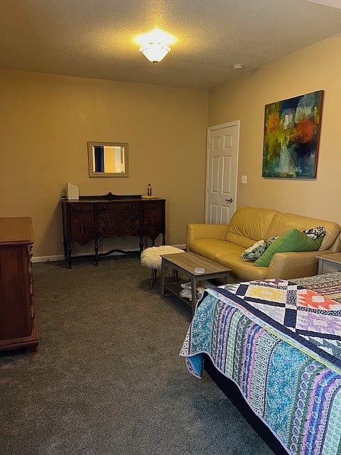 Patio Room (primary bedroom)
