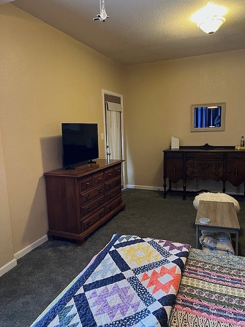 Patio Room (primary bedroom)