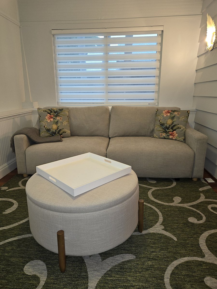queen pull-out sofa for guests that seats 4