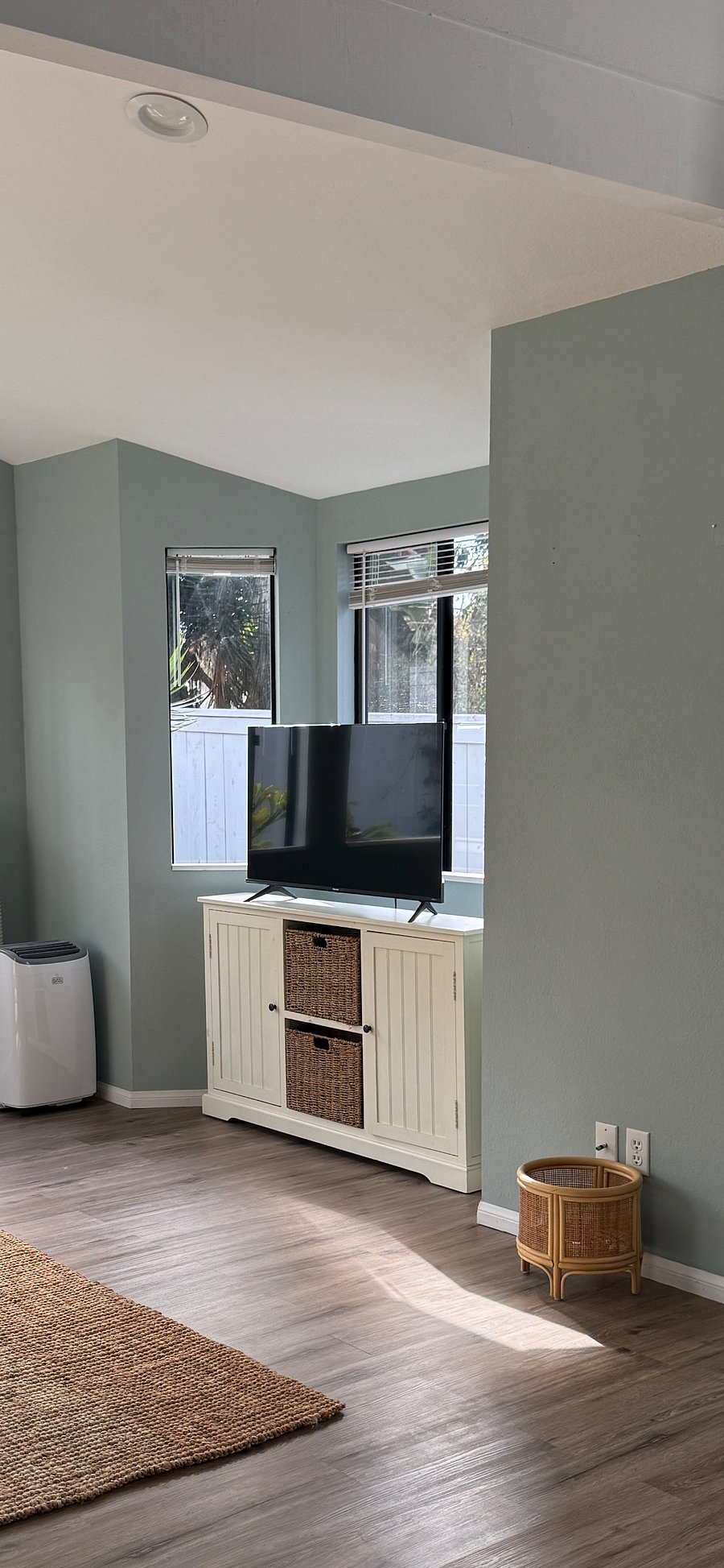 smart TV in living room